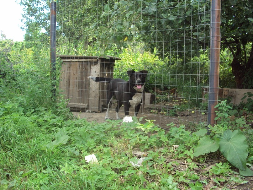 Надежда Плотникова фотография #38