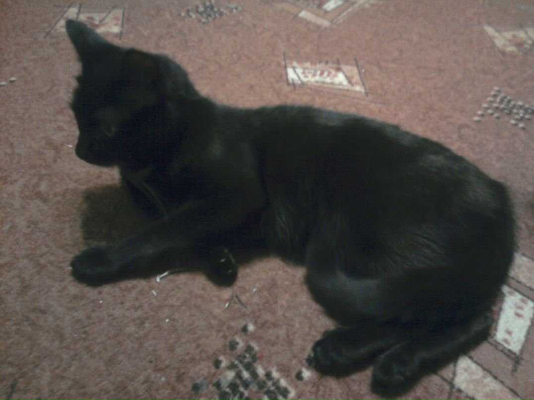 Павел Богдашенко фотография #43