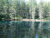 Софья Левенталь фотография #44 (источник - https://vk.com/id409592)