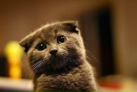 Наталія Беца фотография #49 (источник - https://vk.com/id22380655)