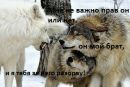 Кракаділ Гєна фотография #25 (источник - https://vk.com/id162674219)