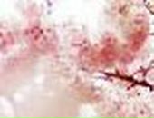 Каріна Машкаринець фотография #42 (источник - https://vk.com/id112417390)