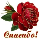 Антоніночка Любка фотография #17 (источник - https://vk.com/id138567620)