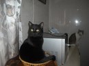 Ігор Роздяловський фотография #25 (источник - https://vk.com/id157434808)