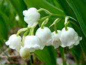 Фотография Веты Анны