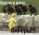 Іван Басів фотография #33 (источник - https://vk.com/id200973462)