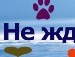 Назарій Лило фотография #34 (источник - https://vk.com/id124825990)