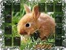 Maшунічка Волощук фотография #35 (источник - https://vk.com/id148176192)
