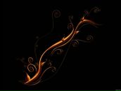 Фотография Нечунаева Александра