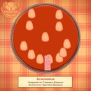 Танюшка Дідицька фотография #26 (источник - https://vk.com/id90688902)