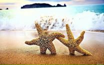 Фотография Рукаво Ксении