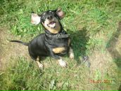 Фотография Волкова Алексея