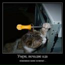 Андрій Кушлик фотография #48 (источник - https://vk.com/id17737934)