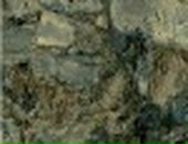 Дмитрий Сидоренко фотография #37 (источник - https://vk.com/id102488413)