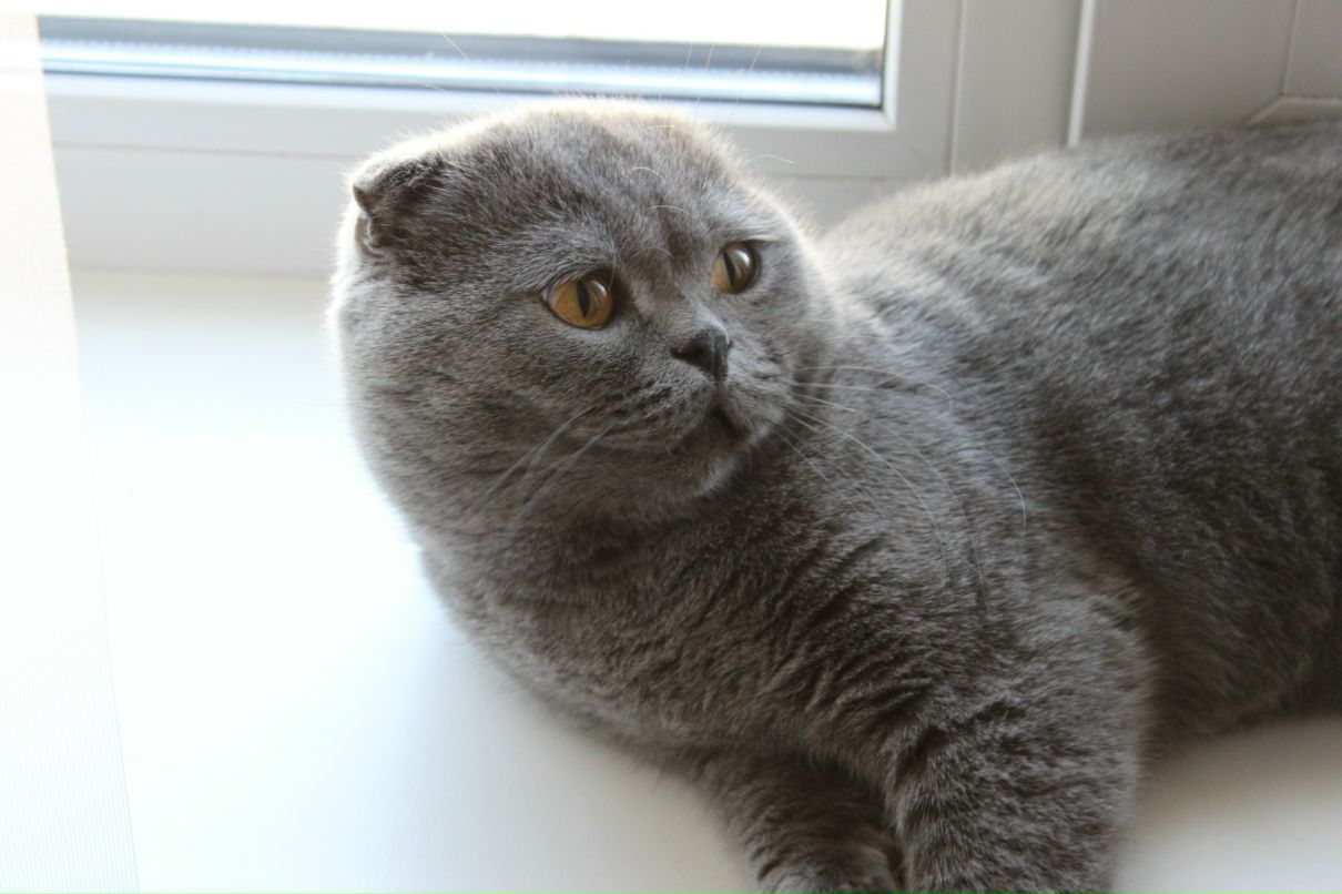 Дмитрий Клыга фотография #16