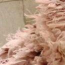 Іра Рак фотография #44 (источник - https://vk.com/id58567406)