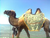 Ніна Яковлева фотография #48 (источник - https://vk.com/id126573344)