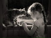 Віка Соромотіна фотография #31 (источник - https://vk.com/id19955117)