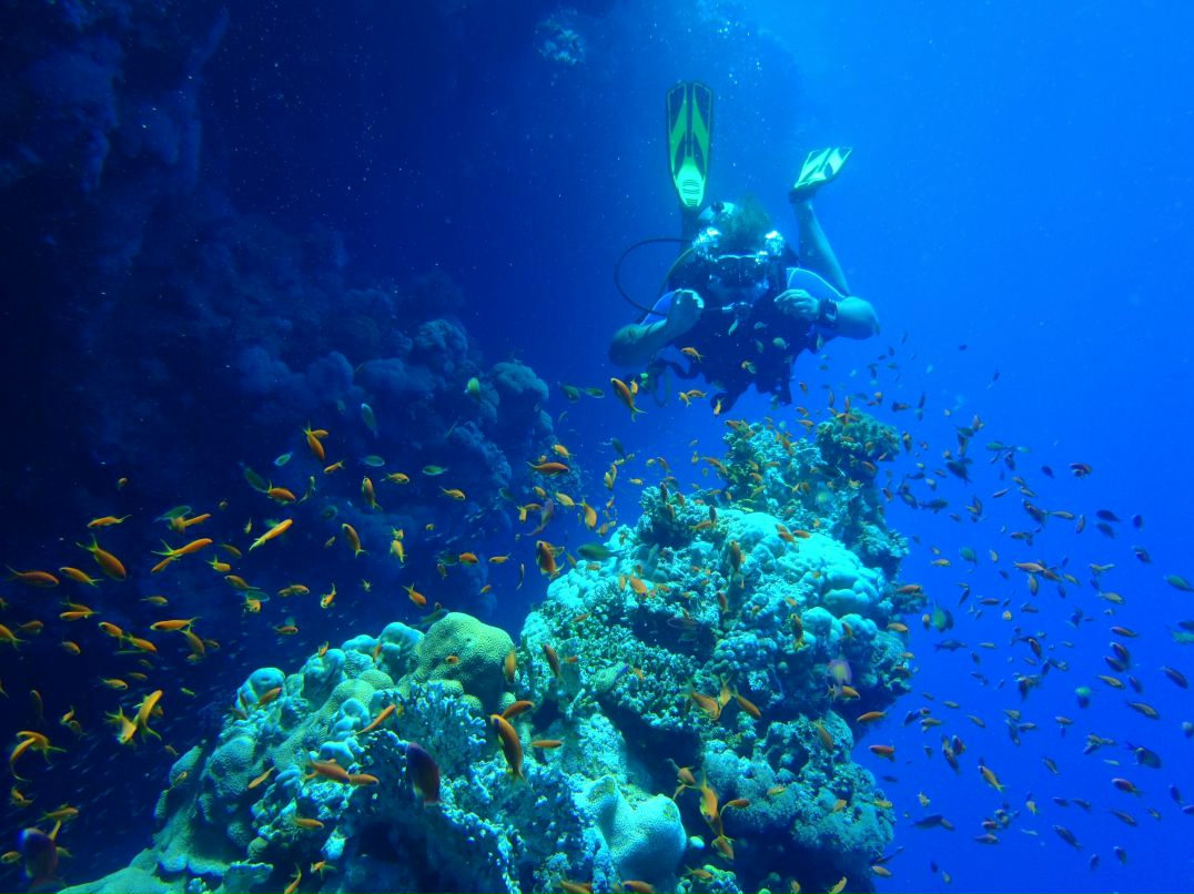 Vit Mi фотография #20