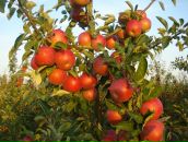 Віталік Гикавий фотография #13 (источник - https://vk.com/id65550734)