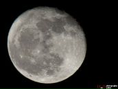 Фотография Худякова Александра