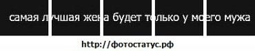  фотография #8