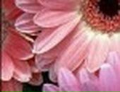 Анастасія Володимирівна фотография #44 (источник - https://vk.com/id62213362)