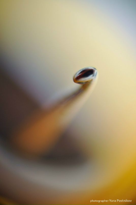 Юра Постников фотография #8