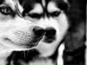 Слава Кміть фотография #5 (источник - https://vk.com/id18598883)