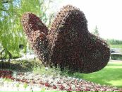 Наталі Криворучко фотография #15 (источник - https://vk.com/id42236716)