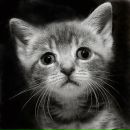 Фотография Шляковой Анастасии