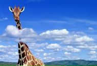 Фотография Мітроніны Ольги