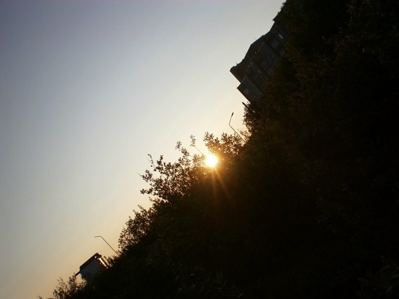 Саша Шляхов фотография #33