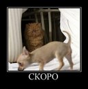 Максим Вітковський фотография #19 (источник - https://vk.com/id54089194)