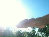 Ігор Бойда фотография #26 (источник - https://vk.com/id5847011)