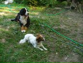 Рогнеда Степанова фотография #25 (источник - https://vk.com/id8756748)