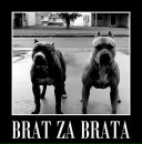 Владислав Бабійчук фотография #43 (источник - https://vk.com/id113612671)