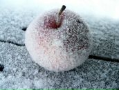 Фотография Юдиной Светланы