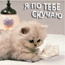Фотография Михеевой Натальи