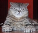Микола Баліцький фотография #5 (источник - https://vk.com/id162084185)