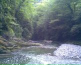 Фотография Яковлевой Светланы