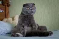 Фотография Буцкого Олега