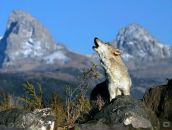 Игорь Бирюк фотография #25 (источник - https://vk.com/id1307750)