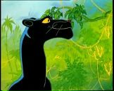 Фотография Сорокиной Розы