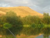 Рустем Лутфуллин фотография #24 (источник - https://vk.com/id8515565)