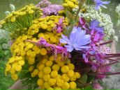 Фотография Татаркиной Ольги