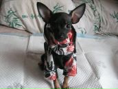 Фотография Веткиной Александры