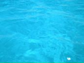 Андрей Вороненков фотография #47 (источник - https://vk.com/id1735336)