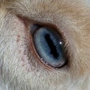 Фотография Беляковой Ирины