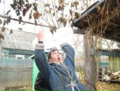 Николай Мешков фотография #13 (источник - https://vk.com/id1813628)